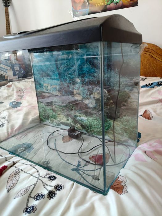 Acvariu 80L + accesorii