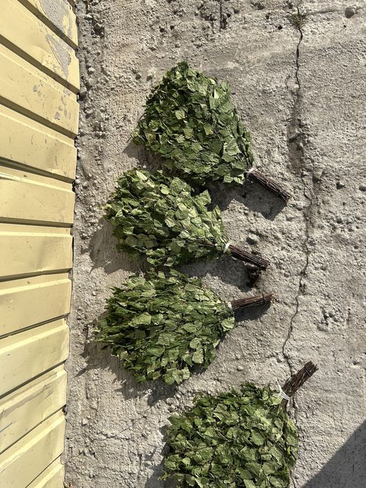 Березовые Банные веники