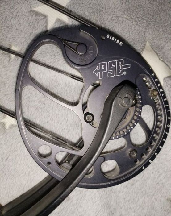 Спортивный лук.                      .