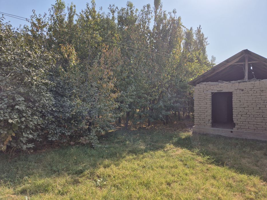 Барданкул КФЙ да 12 соток ер сотилади