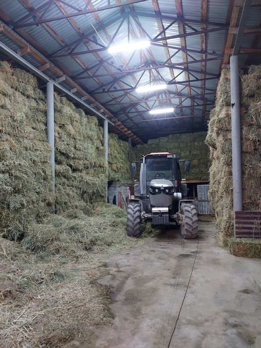 Трактор беларус 1523