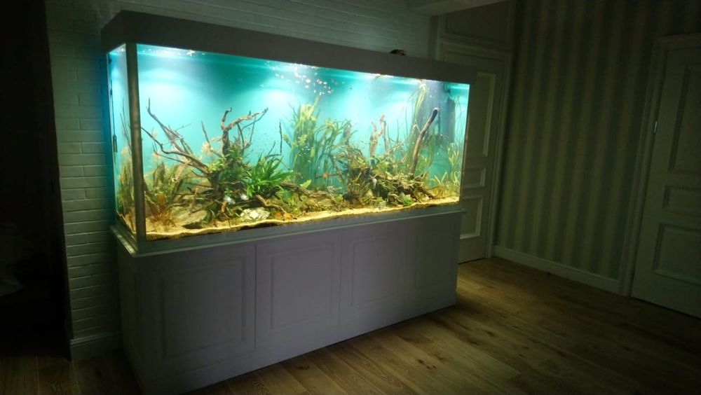 Аквариум "под ключ"