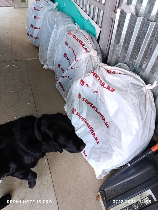 Продам всесезонку Триангл