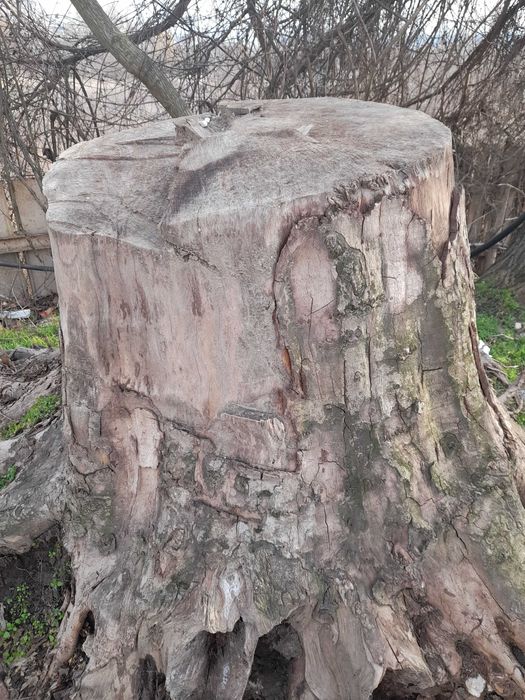 Дънер на Чинар гр. Варна