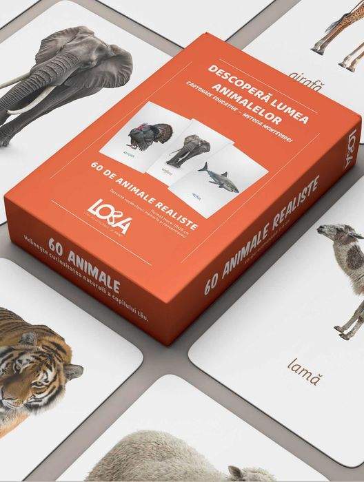 Cartonase Montessori