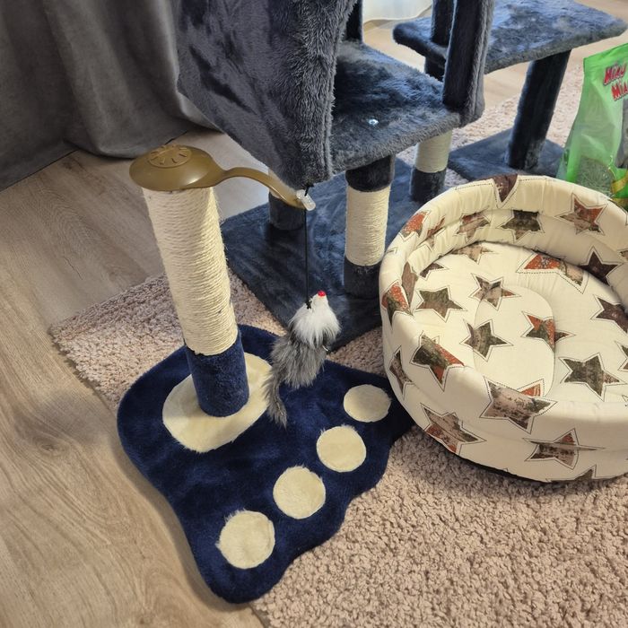 Loc joaca, disperser apa automat, cos de dormit pentru pisici