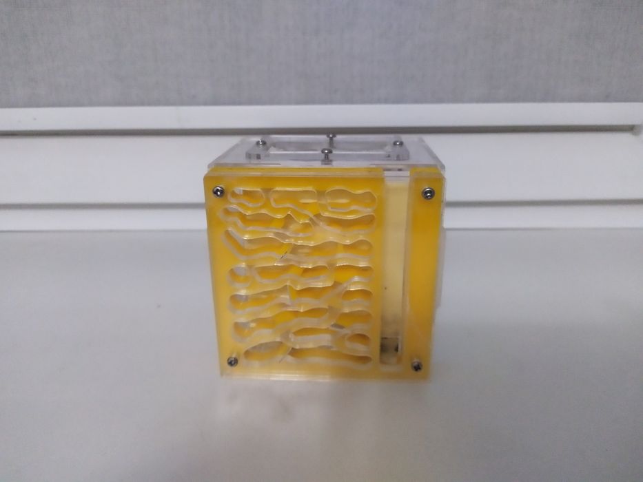 Формикарий для муравьев