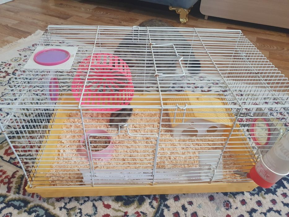 Продам клетку для хомяков