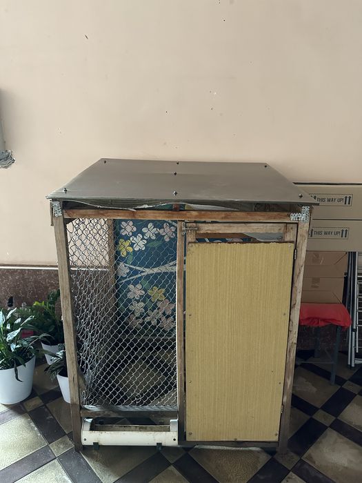 Qafas, Katak sotiladi