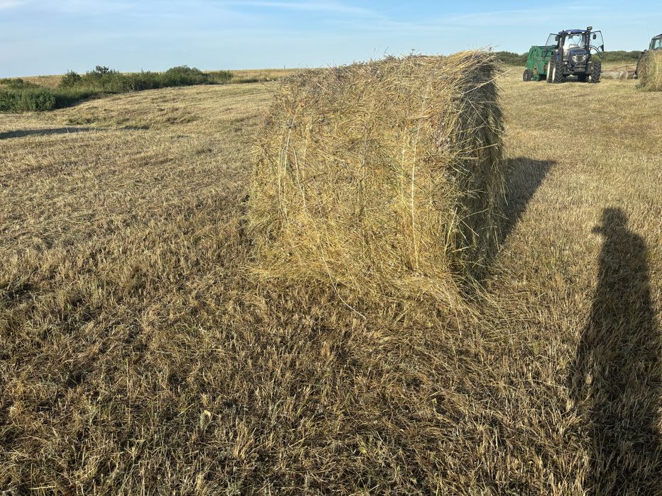Сено луговое в рулонах