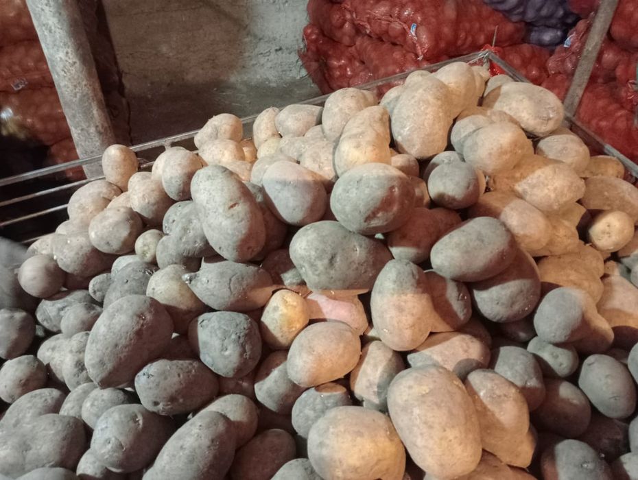Продам Картофель