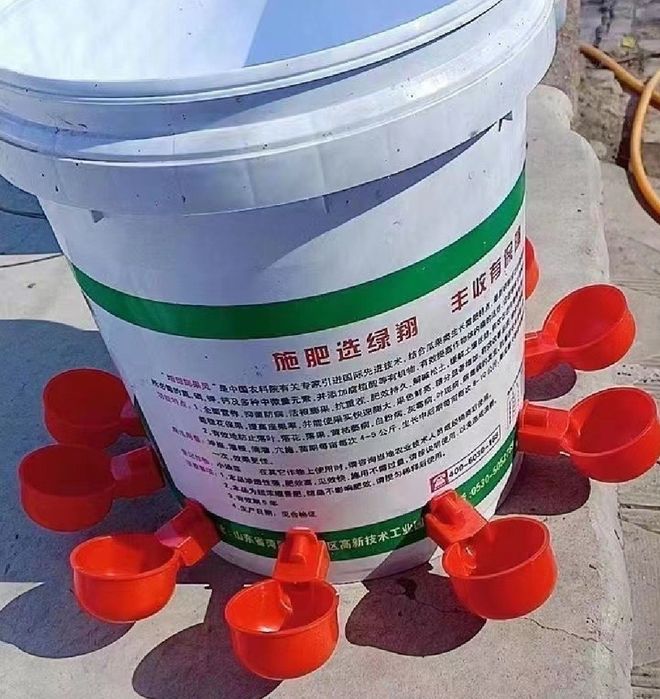 Лоток для яиц инкубационный
