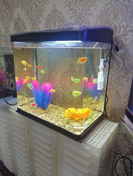 Xitoy 30 litrli akril akvarium komplekti