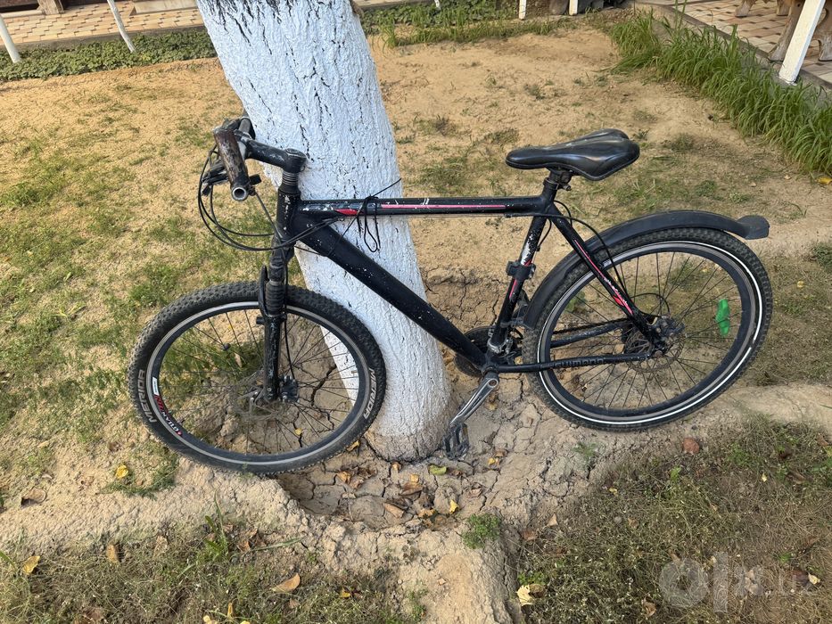 Velosiped velik