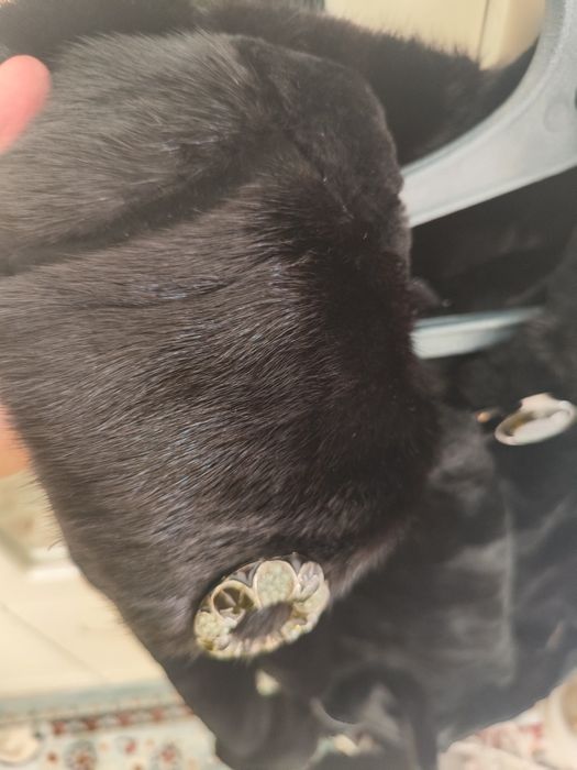 Продам шубу мутон!