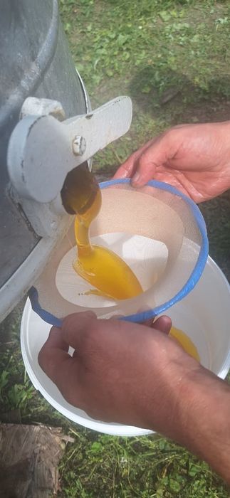 Мед с собственной пасеки 2025.