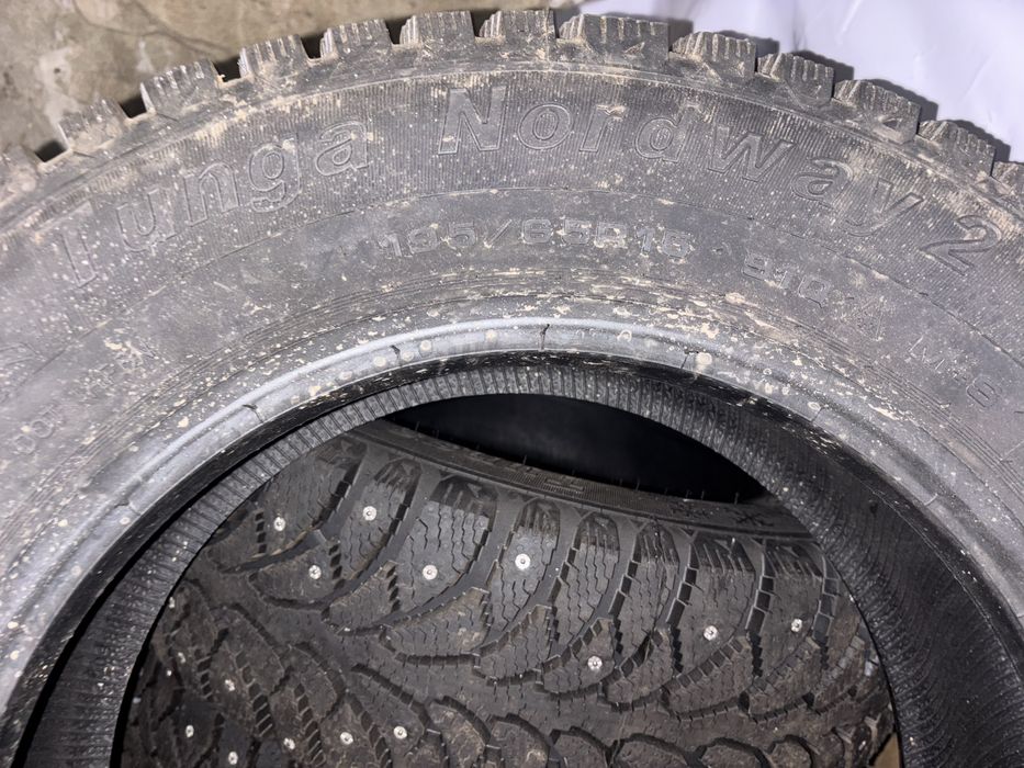 Покрышка шиповный