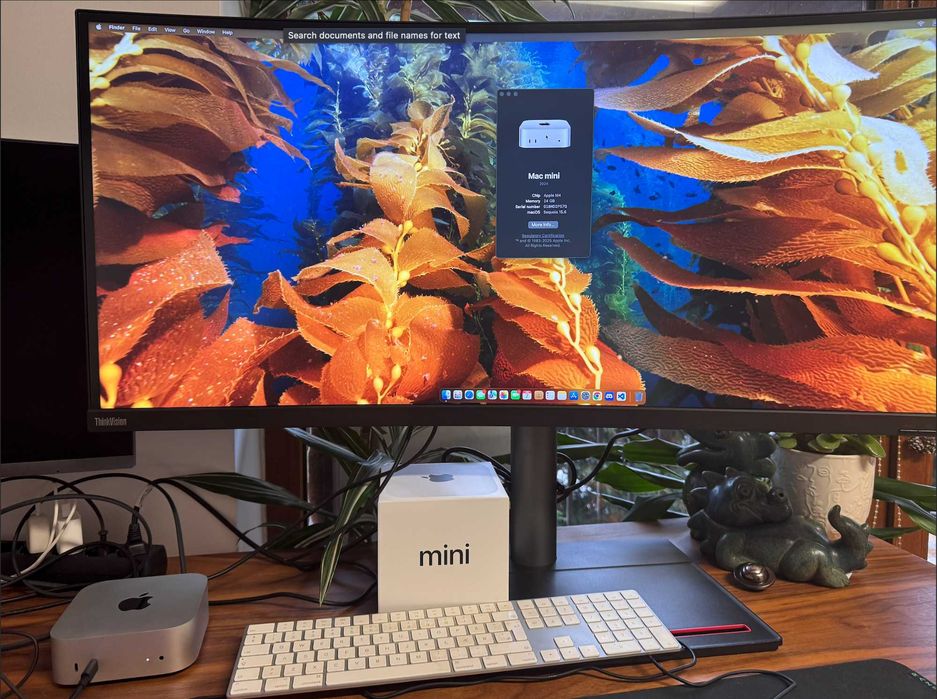 Mac Mini M4 24gb ram 250 gb storage + monitor Lenovo 39,7 - 99% SRGB