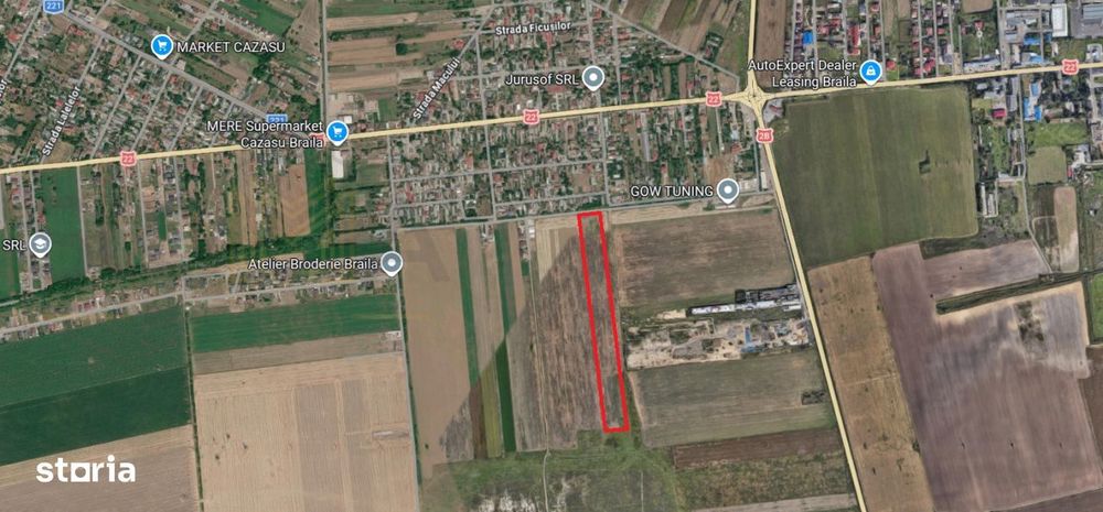 Teren intravilan 28.200 mp – Cazasu, zona Str. Cactusilor – comisi