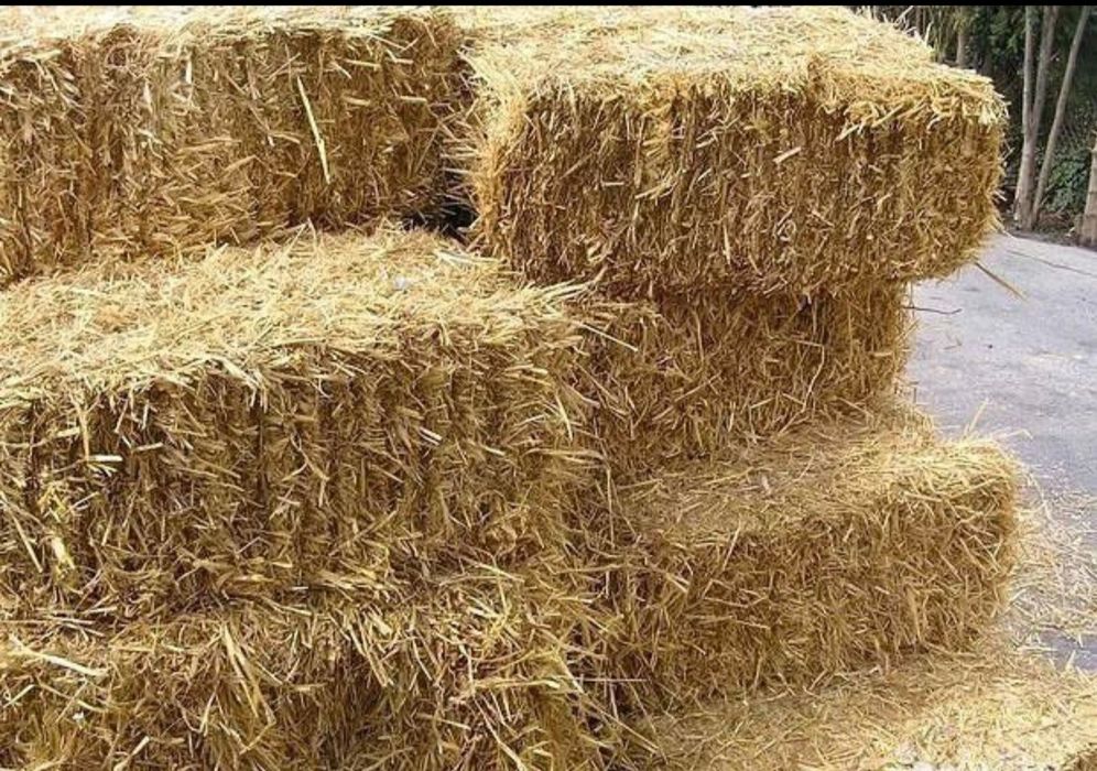 Vând baloți de paie