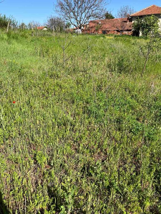 Продава се Парцел в с. Стамболийски, Област Хасково - 2113 кв.м за 10 €/кв.м - Снимка #5