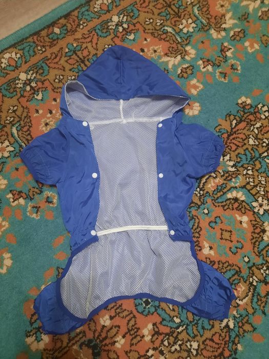 Одежда для собачки