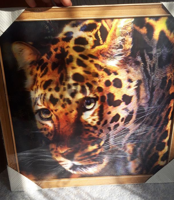 Новая картина 5D. Леопард!
