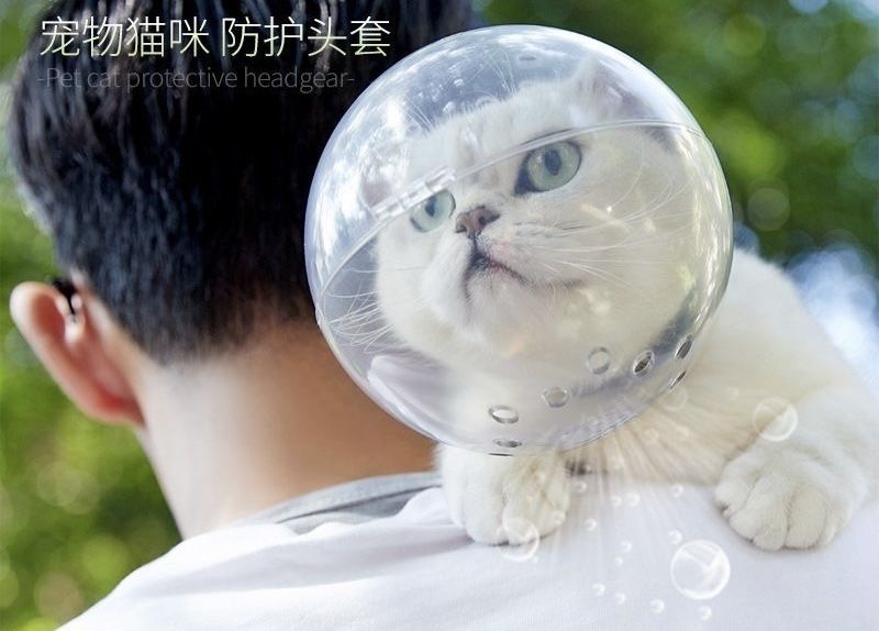 Скафандр для кошки