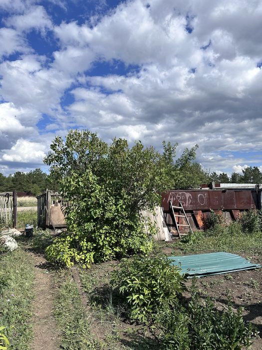 Продам дачу на зерендинских дачах