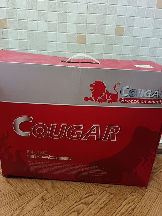 Роликовые коньки