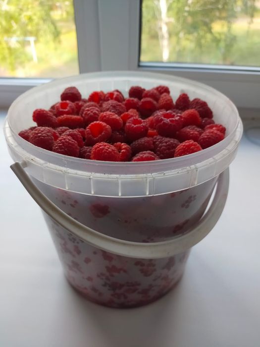 Продам малину свежую
