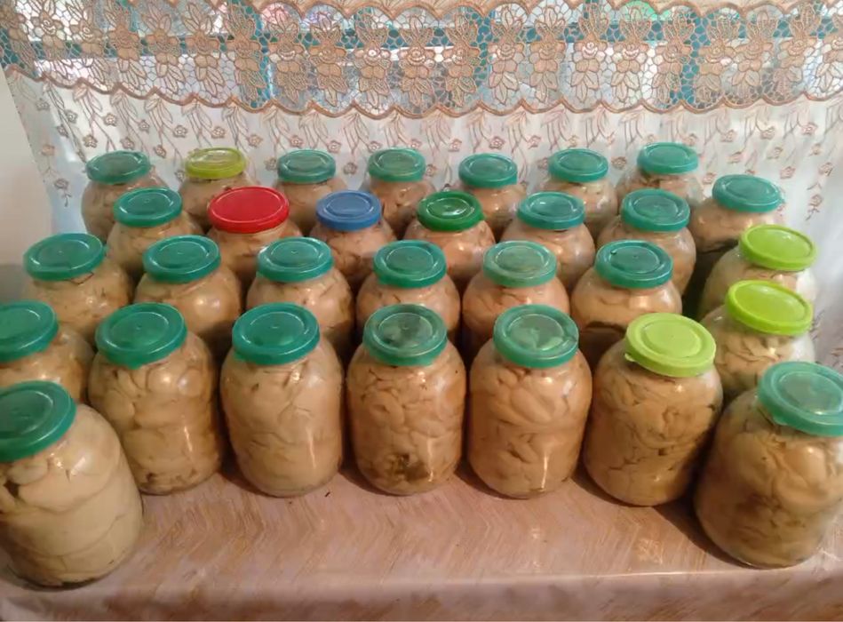 Принимаю заявки