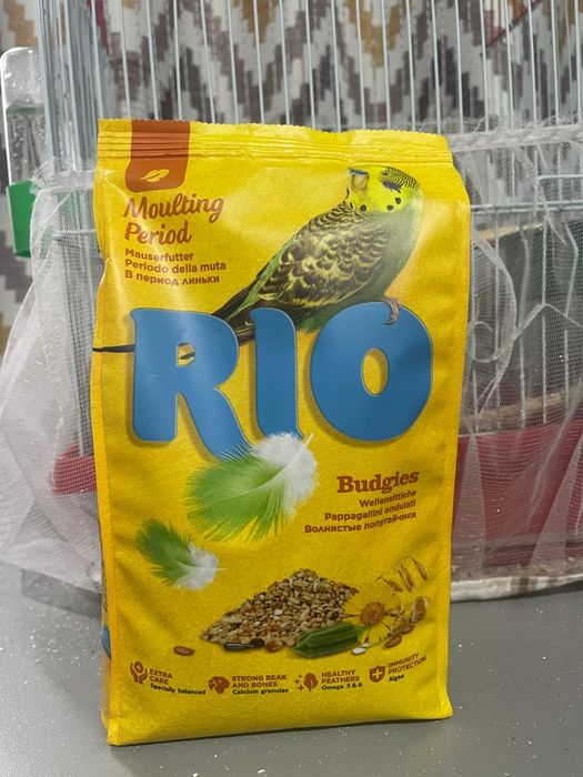 Продам попугая волнистика.мальчик.