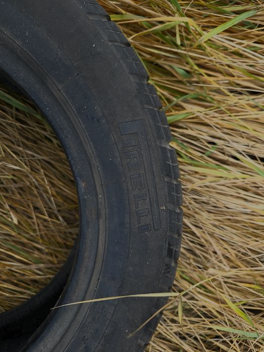Продам летнюю шину Pirelli