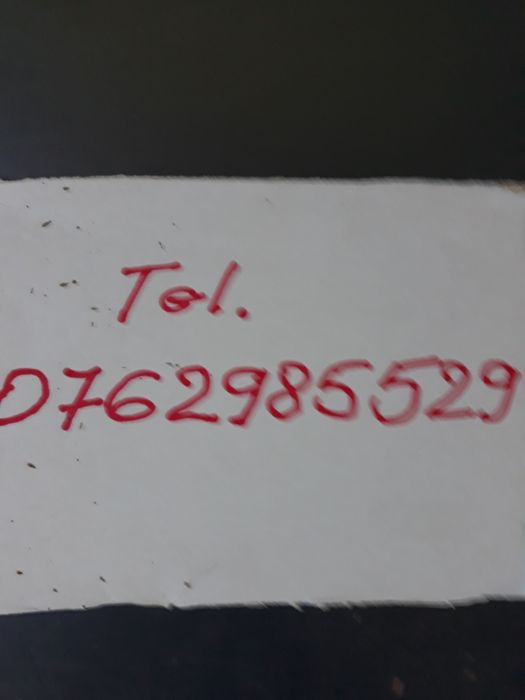 Vind oaie carabasa cu 2 mieluti,și berbec  mior