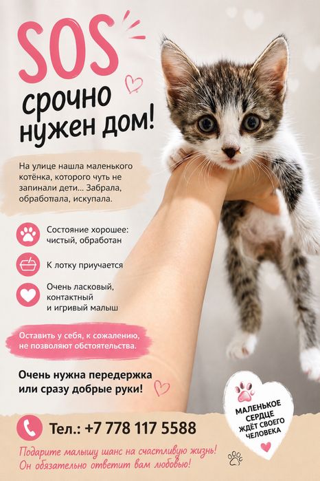 СРОЧНО ищем дом котёнку