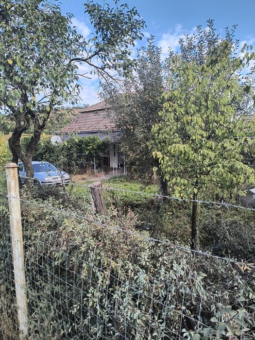 Casă – Sanger - Mai multe