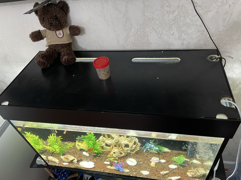 Аквариум с рыбками 150л