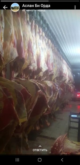 Продам мясокомбинат