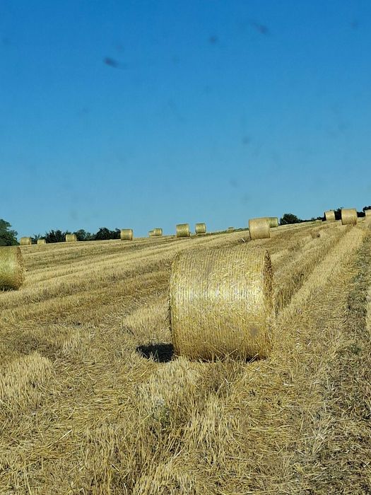 Продавам рулон бали