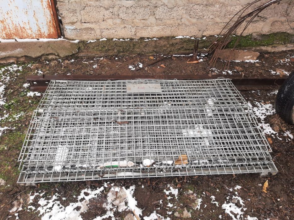 Zanglamas Qafas juda baquvvat