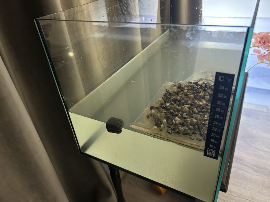 Acvariu testoasa, pesti  60L 30x30x60