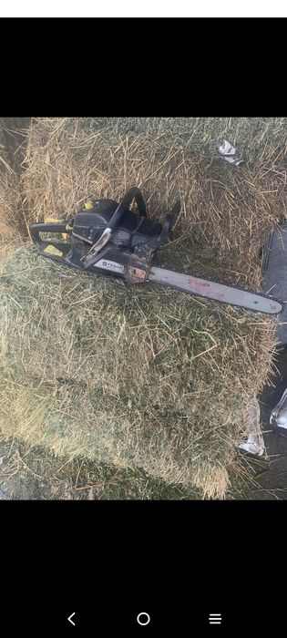 Drujba in stare buna