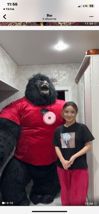 Костюм аниматора