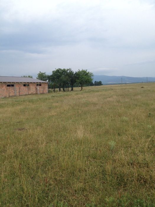 Hala Multifunctionala