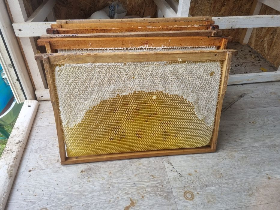 Vand miere si produse apicole naturale