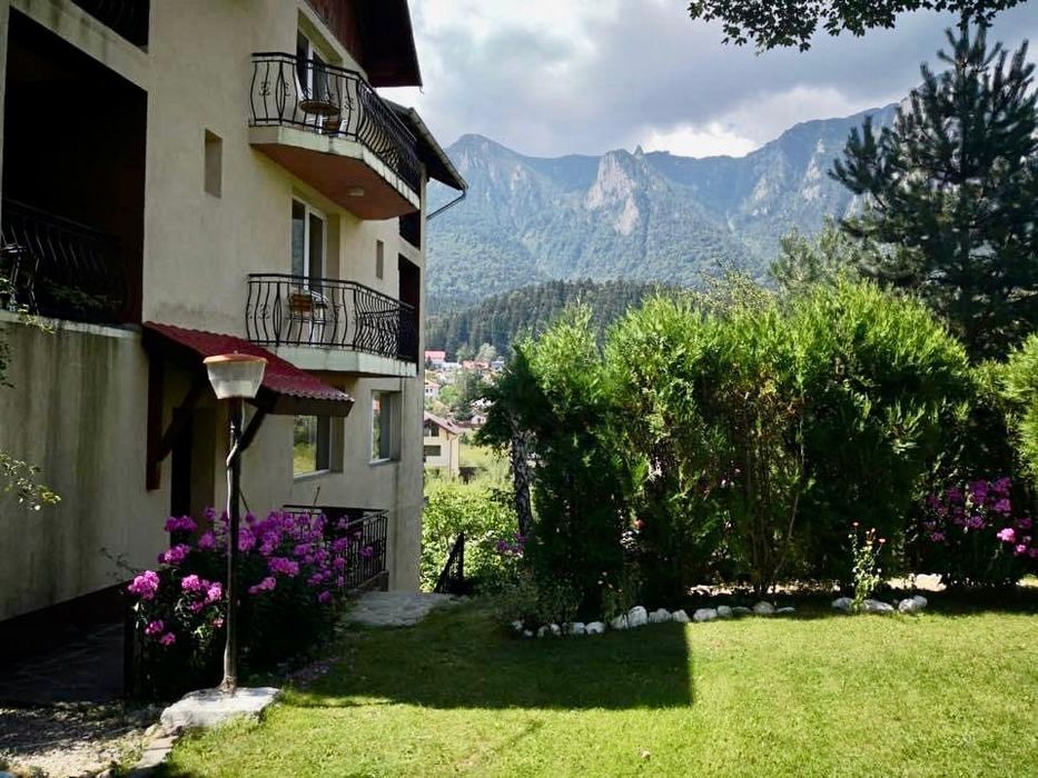 Vila Mihaela – Cazare Bușteni, Strada Castel Cantacuzino
