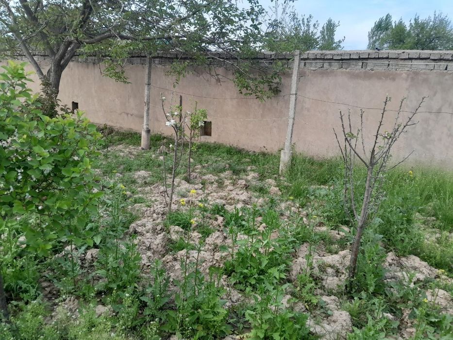 Sro'chna prodayotsya 8.5+8.5 soti dacha kak zemlya prodayotsya.