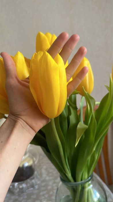 Тюльпаны оптом беларусь местные и голландия