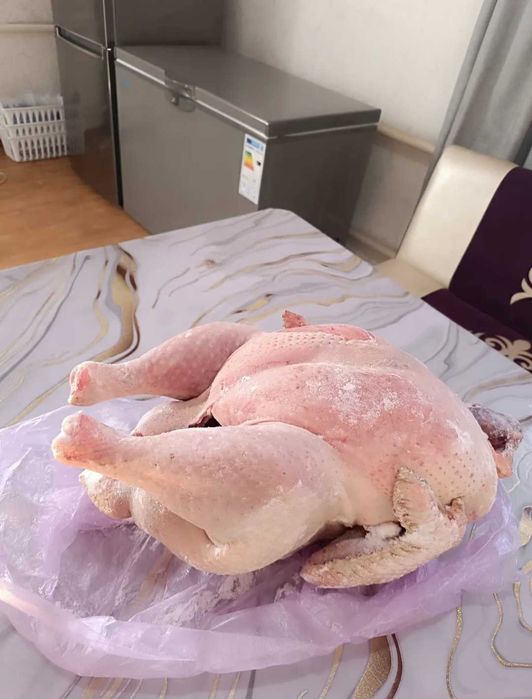 Индейка Индюки Индюк